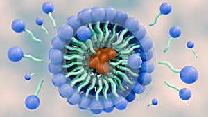 the soap molecules form structures called micelles photo