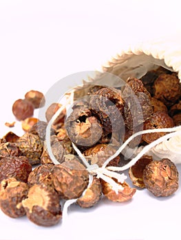 Soap nuts