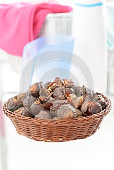 Soap nuts