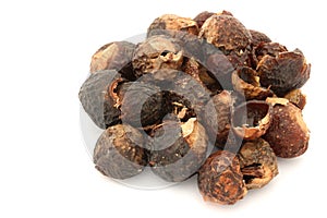 Soap Nuts