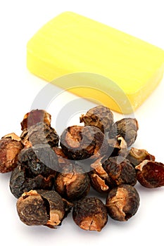 Soap Nuts