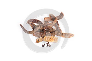 Soap Pod Acacia concinna Willd. DC.