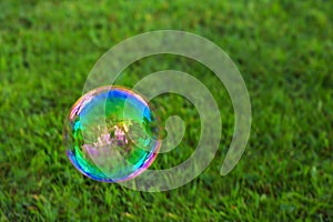 Soapbubble on green natural background.