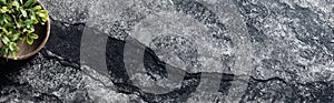 Soapstone background with plant decor and gray marbled texture photo