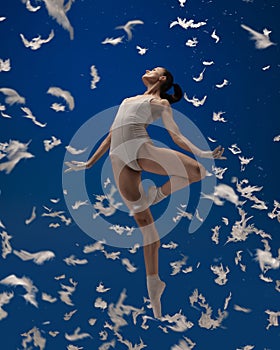 Soar like a bird. One young female ballet dancer flying isolated over blue background with white feathers.