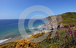 Soar mill cove , Devon