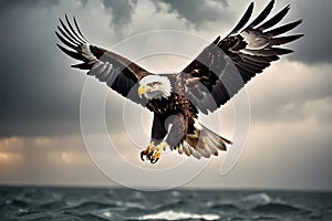 A soaring eagle in a storm