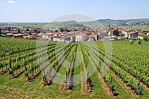 Soave in Italy, famous for its wine and grapes