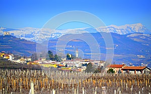 Soave vineyards Veneto North Italy
