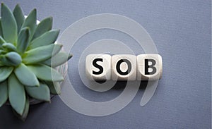 SOB - Shortness of breath symbol. Wooden cubes with words SOB. Beautiful grey background with succulent plant. Medical and SOB photo