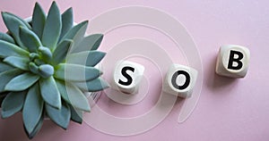 SOB - Shortness of breath symbol. Wooden cubes with words SOB. Beautiful pink background with succulent plant. Medical and SOB