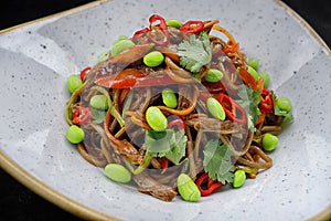 soba with duck, vegetables and hot pepper on a plate