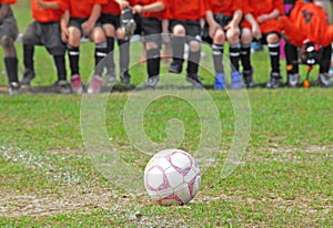 Soccer ball on field