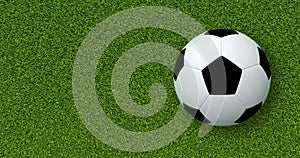 Soccer ball (Football) on green grass