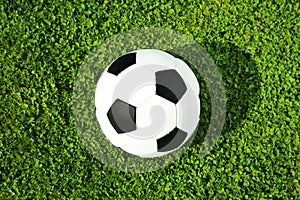 Soccer ball on fresh green football field grass