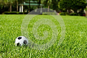 Soccer Ball Futbol on Grass