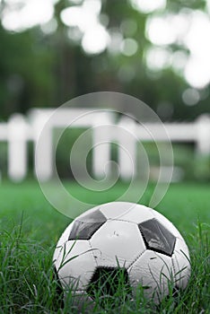 Soccer Ball Futbol on Grass