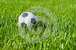 Soccer Ball Futbol on Grass