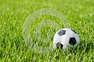 Soccer Ball Futbol on Grass