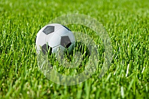 Soccer Ball Futbol on Grass photo