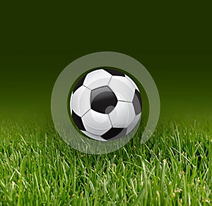 Soccer ball and grass