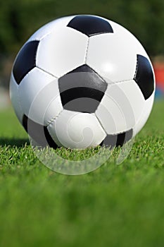 Soccer ball on grass