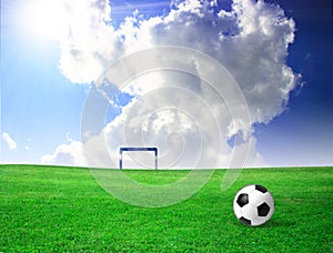 Soccer ball on grass