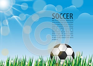 Soccer ball on grass