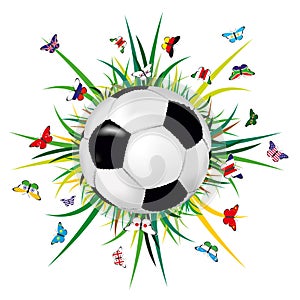 Soccer ball on grass background and butterflies with flags of the countries