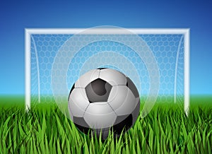 Soccer ball and grass field