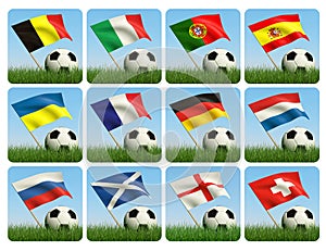 Soccer ball in the grass and the flag