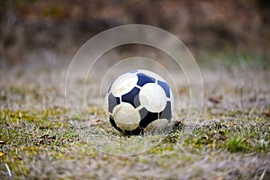 soccer ball on a grass