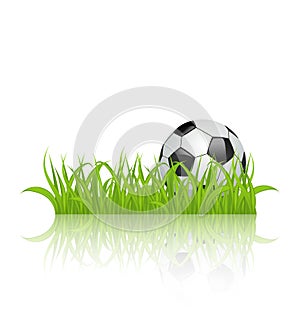 Soccer ball on grass isolated on white background