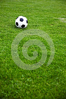 Soccer Ball On A Grassy Field