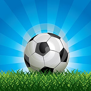 Soccer Ball on Green Grass
