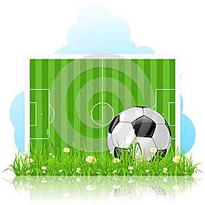 Soccer Ball on Green Grass