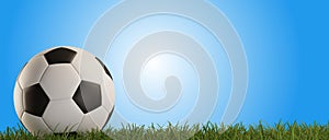 Soccer ball green grass 3d-illustration