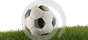 Soccer ball green grass 3d-illustration isolated