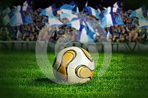 Soccer ball on img