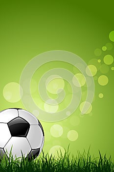 Soccer Ball on Green Grass Background