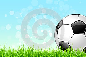 Soccer Ball on Green Grass Background