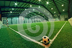 Soccer ball on green grass in an indoor playground