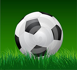 Soccer ball on green grass. vector