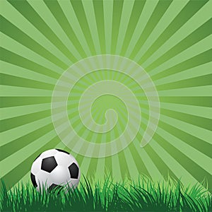 Soccer ball on green grass. vector