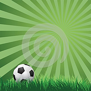 Soccer ball on green grass. vector