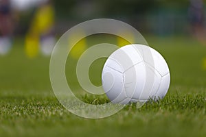 A Soccer Ball on the Lush Green Grass of the Soccer Pitch, Anticipating the Next Game. Soccer Football Classic Ball