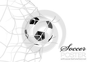 Soccer Ball in Net