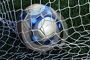 Soccer Ball in Net