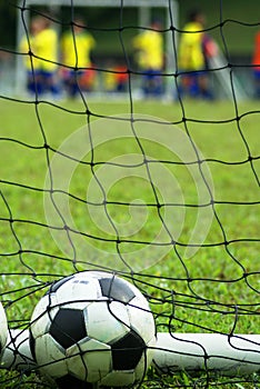 Soccer ball in net at field