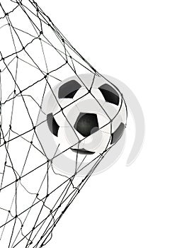 Soccer ball in the net gate